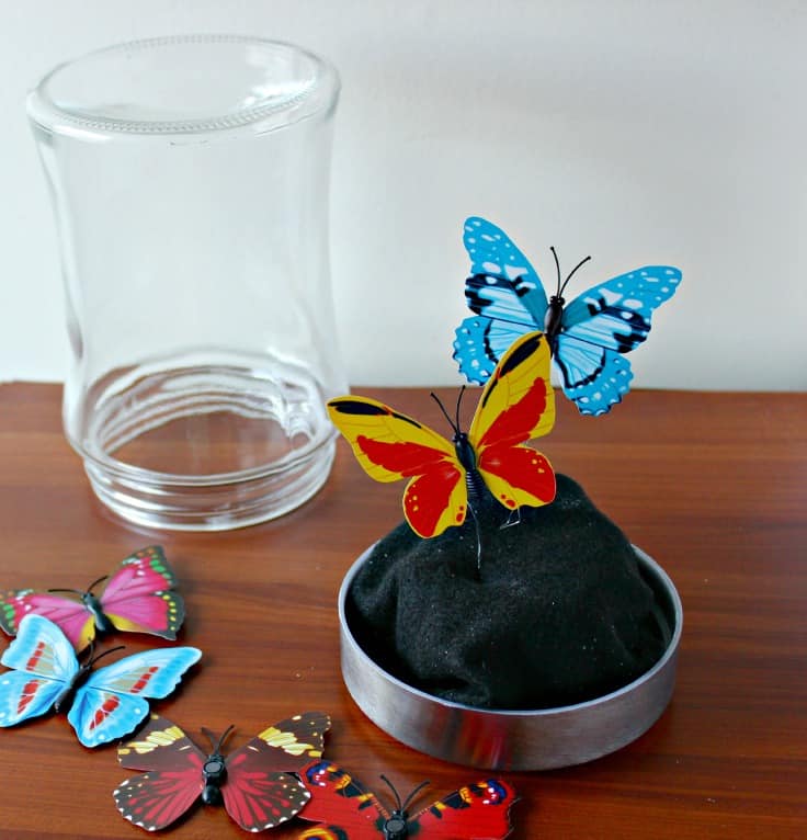 DIY Glass Cloche Crafts | Upcycled Jar Crafts