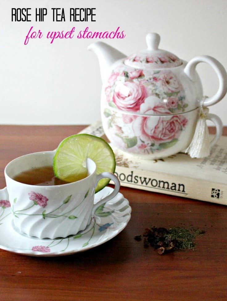 Rose Hip Tea Recipe for Upset Stomachs