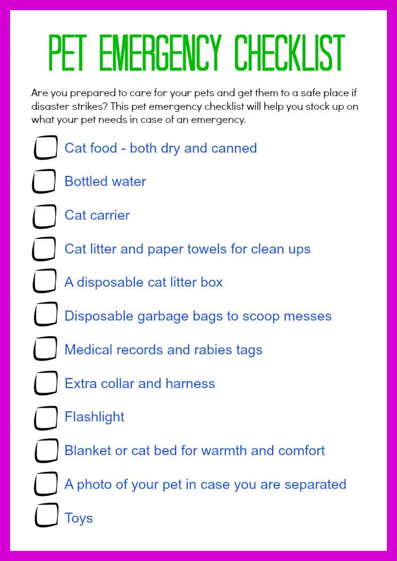 Printable pet emergency checklist