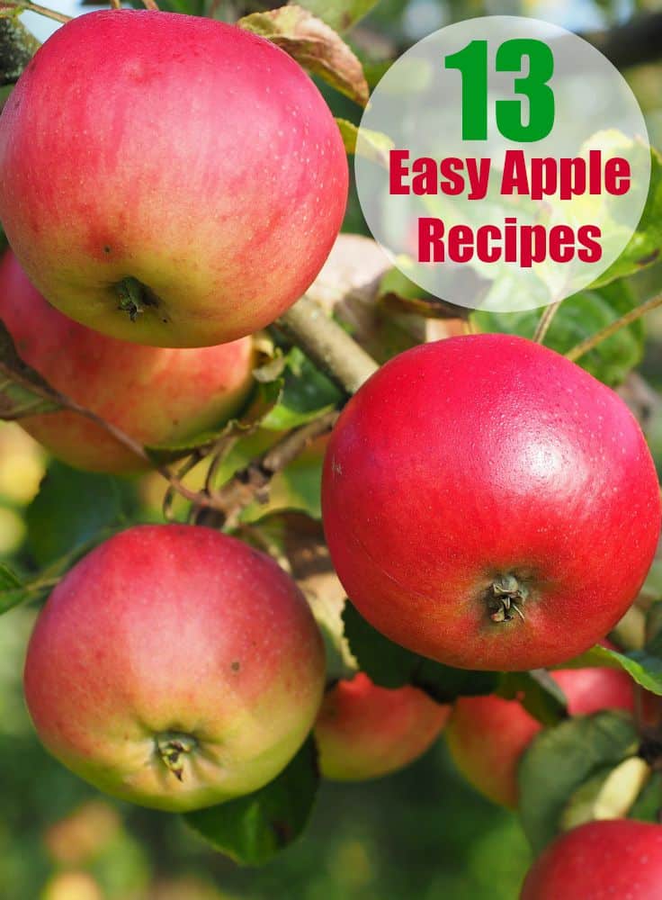 13 Easy Apple Recipes for Fall