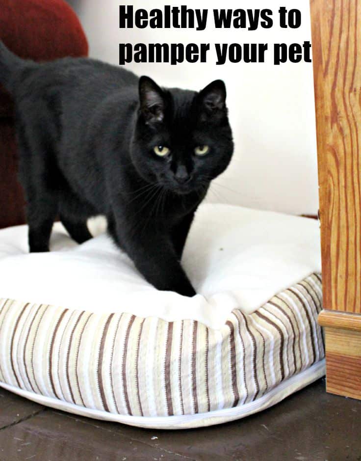 Healthy ways to pamper your pet