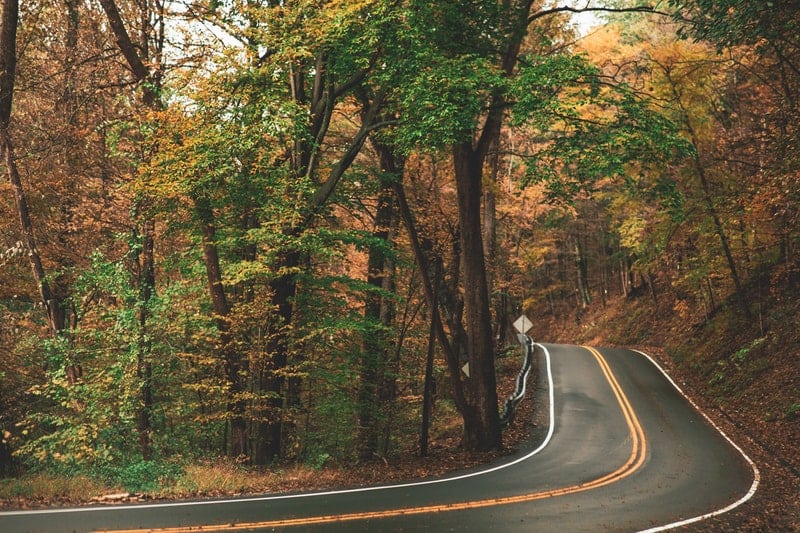 a road curving through trees with orange leaves