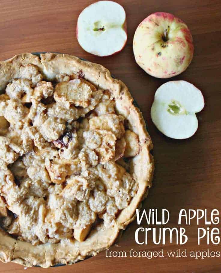Baking with wild apples - Wild apple crumb pie recipe