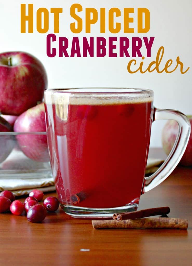 Easy hot spiced cranberry cider recipe