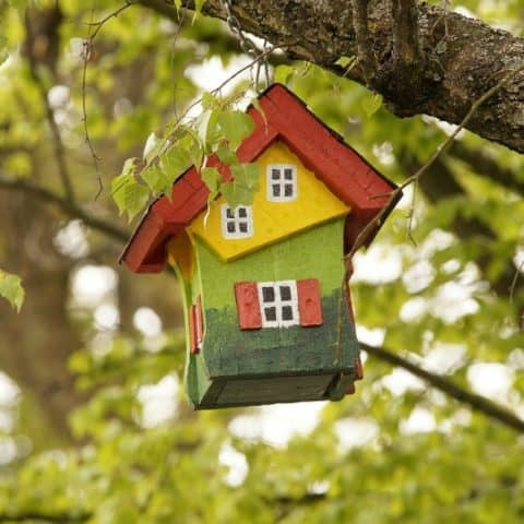 bird house hanging in a tree