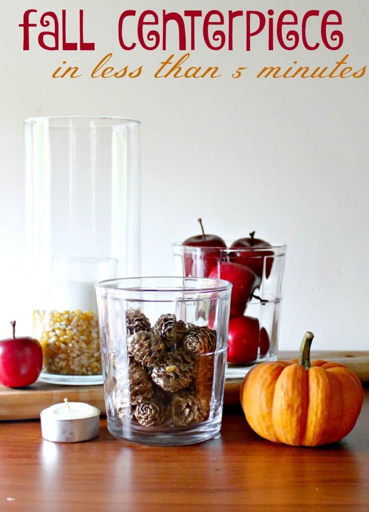 Looking for a fall centerpiece DIY, learn how to make DIY fall table decor with just a few simple supplies. Try it today.