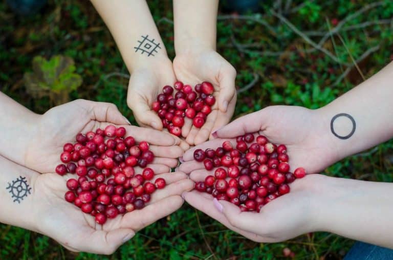 Cranberry Juice Recipe Confessions Of An Overworked Mom 0825