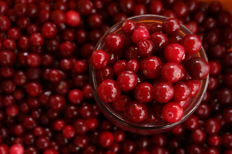 cranberries in a jar