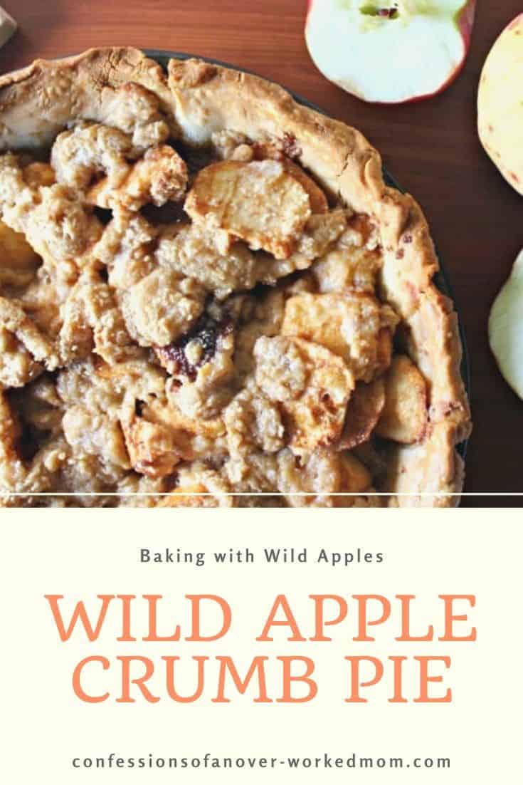 Wild Apple Crumb Pie Recipe