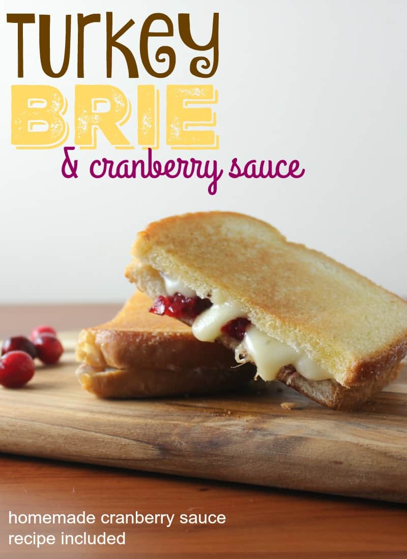 Turkey Brie and Cranberry Sauce Sandwich
