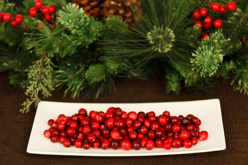 a white plate with cranberries and greenery