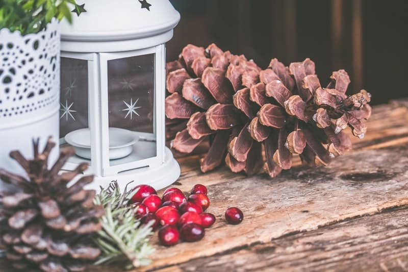 How To Have a Greener Christmas That's More Sustainable