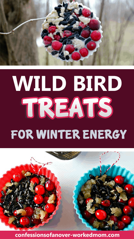 That's where these wild bird treats for winter energy come in handy. My husband and I love feeding the birds and watching them through the kitchen window. One of the benefits of living in the country is that we have a lot of birds and wildlife to enjoy.