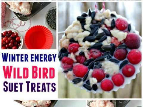 peanut butter treats for wild birds