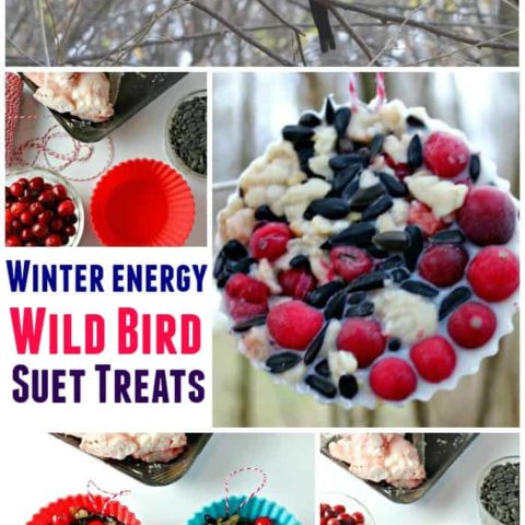 winter bird treats