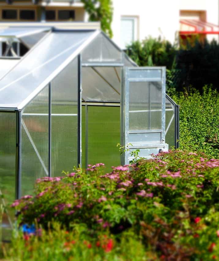 How to Choose the Best Portable Greenhouse for Spring