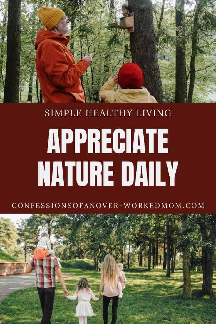 Looking for ways to appreciate nature? Try these simple activities to help you appreciate all that nature has to offer you.