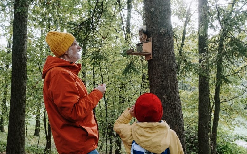 a man and boy looking at a squirrel feeder on a tree