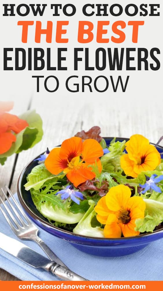 How to Choose the Best Edible Flowers to Grow