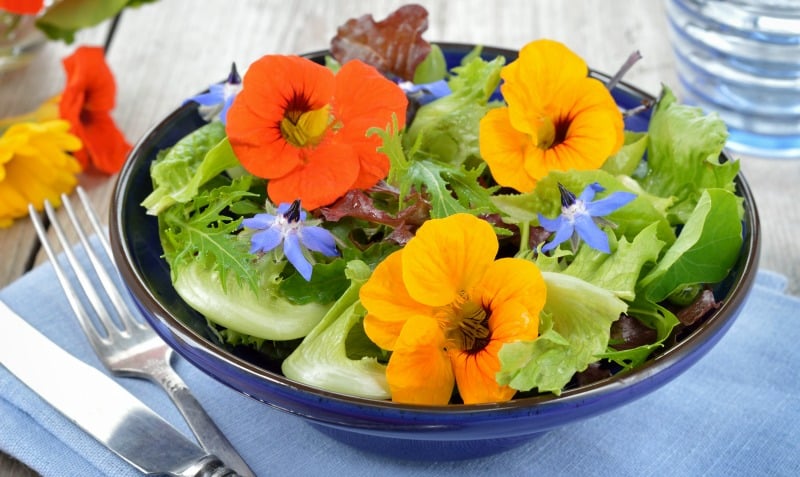 How to Choose the Best Edible Flowers to Grow