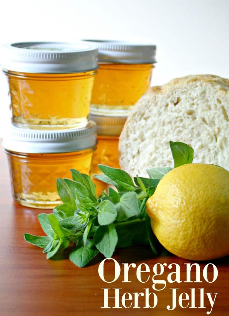Looking for a Greek Oregano jelly recipe? Try this delicious herb jelly recipe made with Greek oregano with your next roast beef or pork.