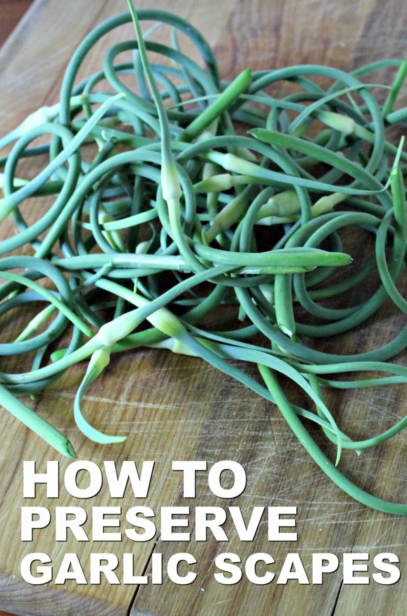 How to preserve garlic scapes