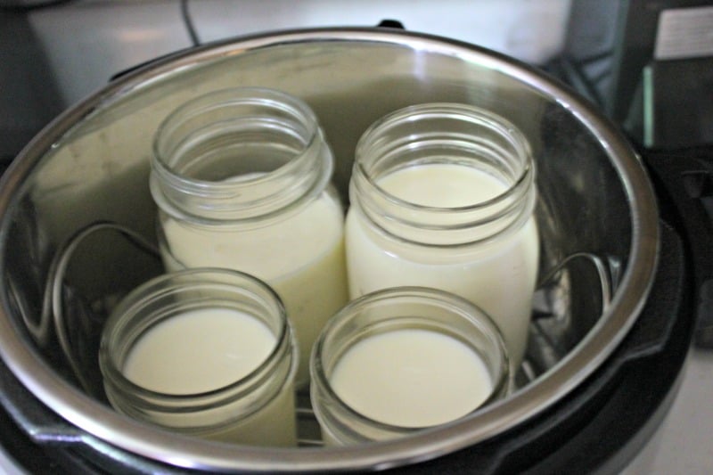 How to make yogurt in an Instant Pot