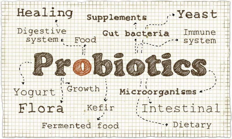 4 Reasons You Need to Use a Probiotic For Digestive Balance