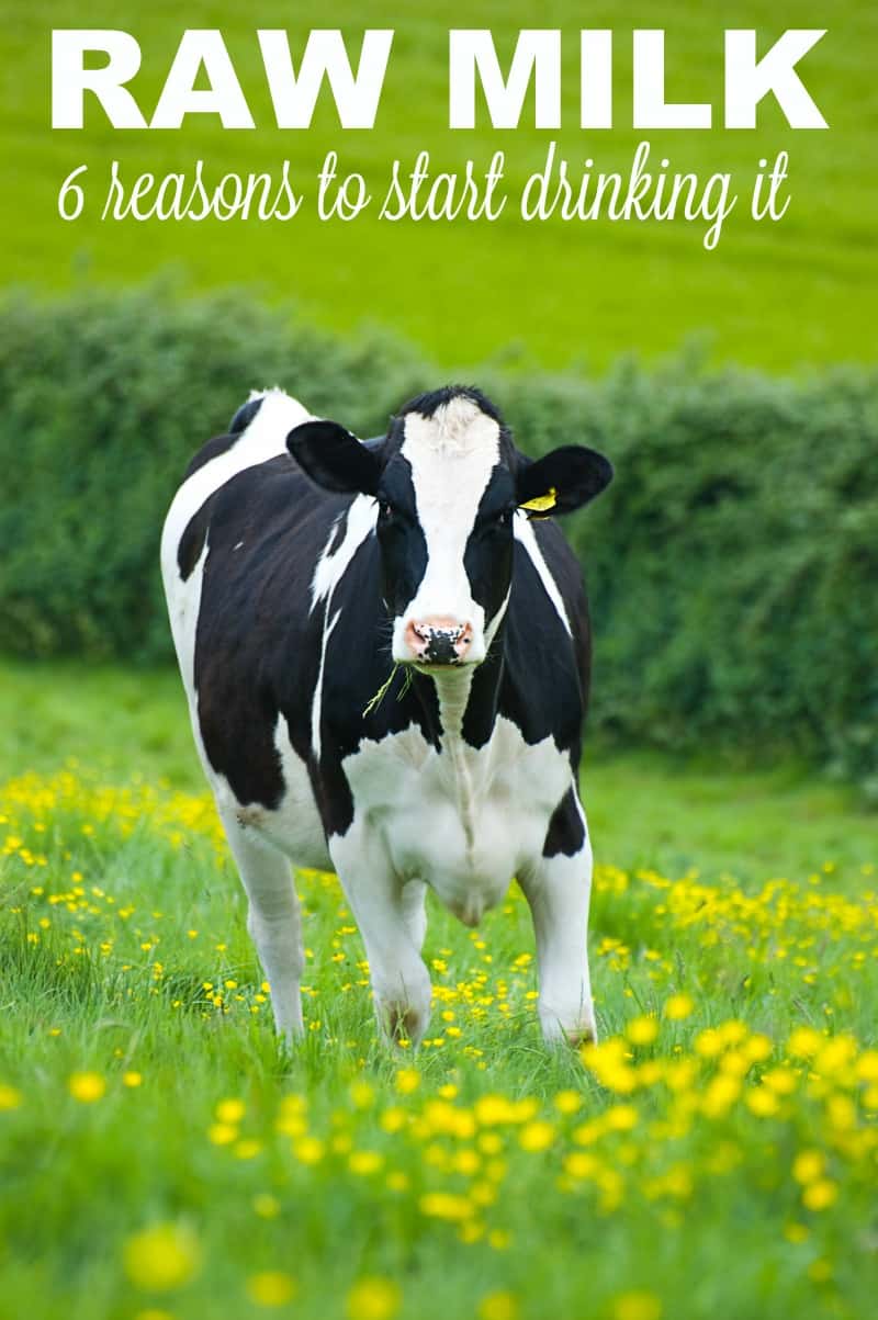 6 Reasons Why Raw Milk is Best for You