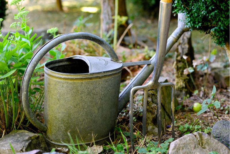 a watering can near a garden fork in a flower bed