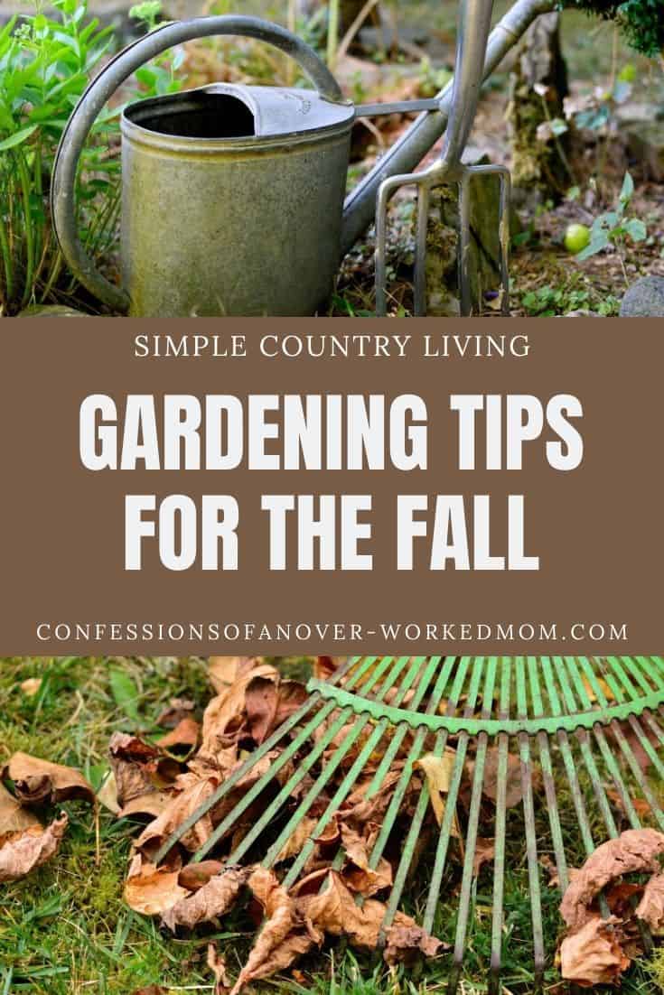 Fall gardening tips will help you prepare your garden for cooler weather and a new crop next year. Learn what you need to do today.
