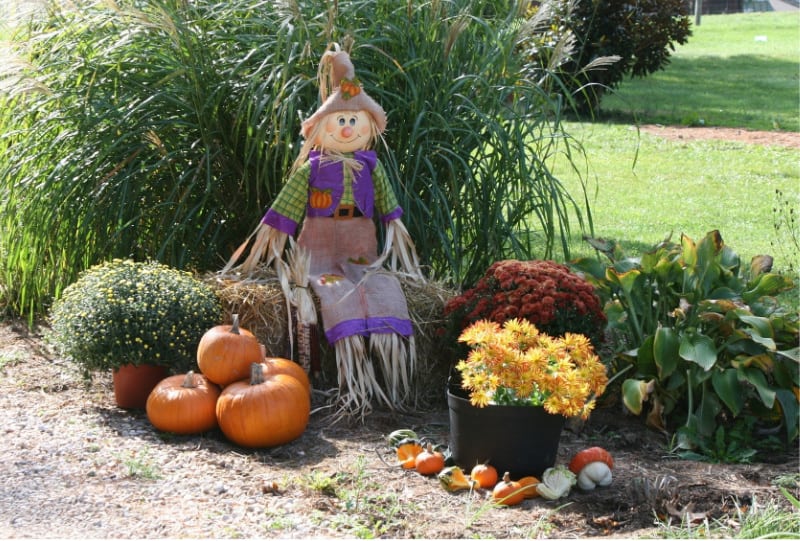 a scarecrow sitting on bales of hay with fall flowers in pots