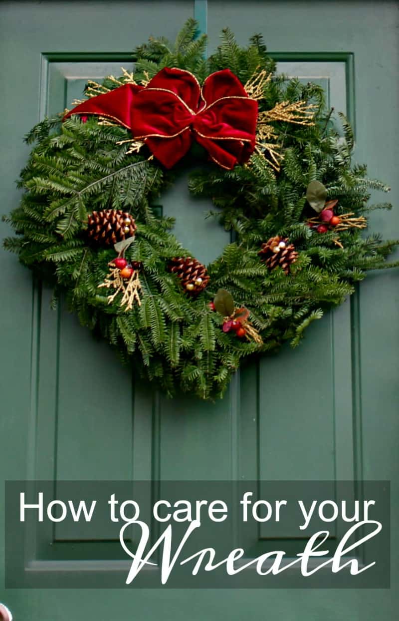 How to Take Care of Fresh Evergreen Wreaths