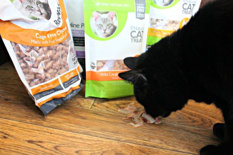 Only Natural Pet Food Available Now at PetSmart Stores and Online