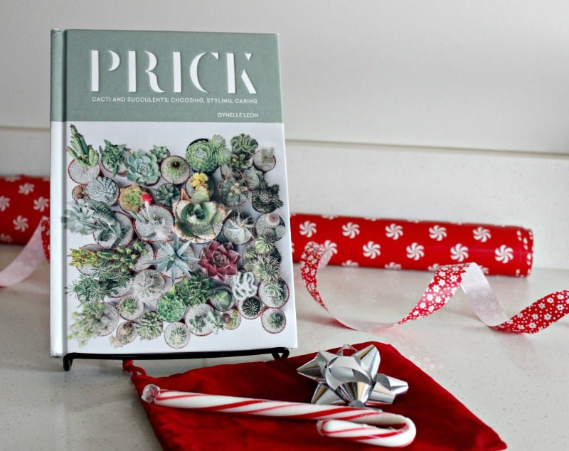 Prick A modern guide to the fashionable world of prickly, spiny houseplants. 