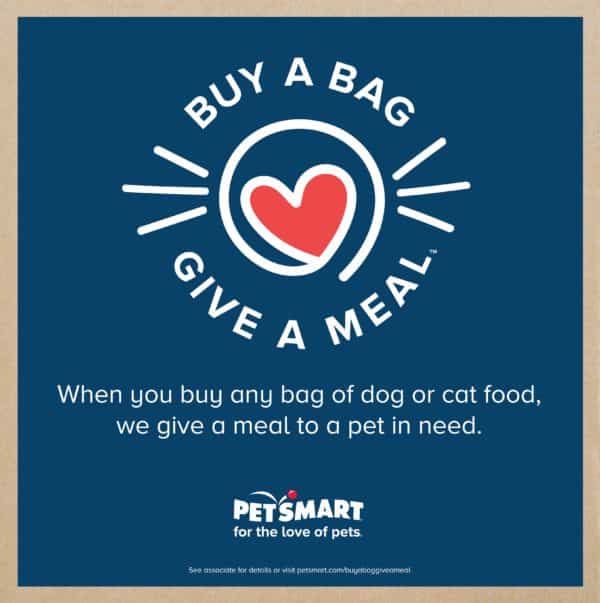 How to Help Pets in Need by Donating Food Meals