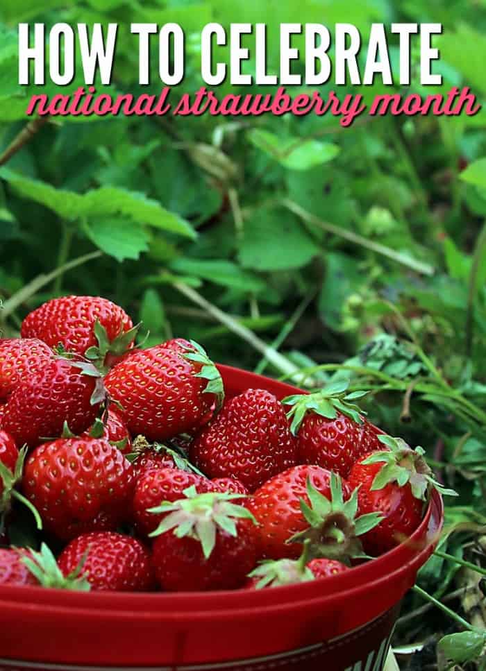 5 National Strawberry Month Activities to Enjoy in May