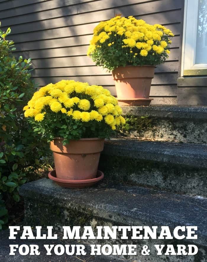4 Fall Maintenance Tips Your Home Needs This Year