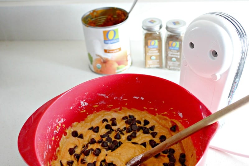 Cream Cheese Pumpkin Dip Recipe with Chocolate Chips