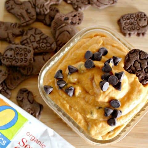 Cream Cheese Pumpkin Dip Recipe with Chocolate Chips