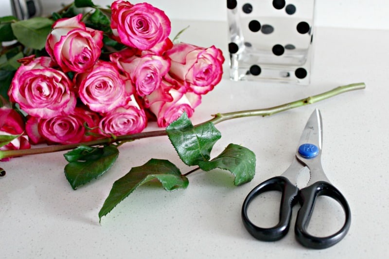 a bouquet of pink roses with a pair of scissors