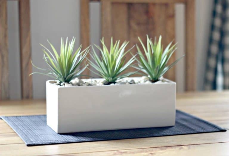 Artificial Succulent Plants and How to Decorate With Them