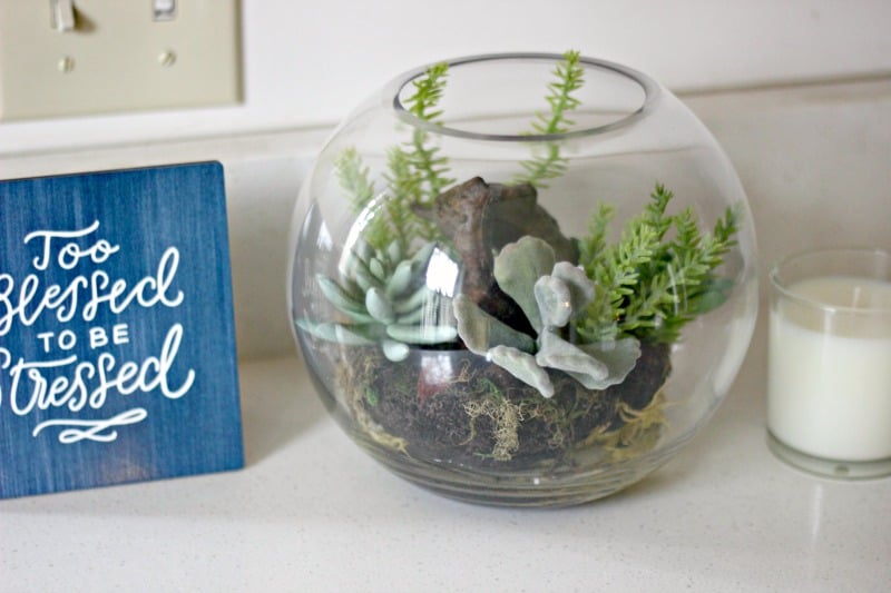 Decorating with Artificial Succulent Plants in Your Home