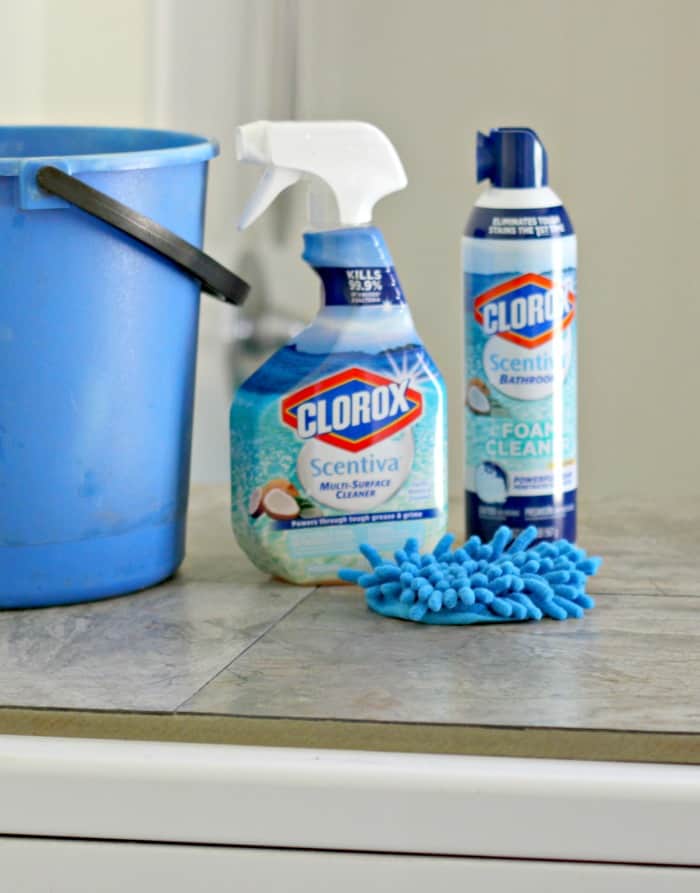 Bathroom Cleaning List for Top to Bottom Clean