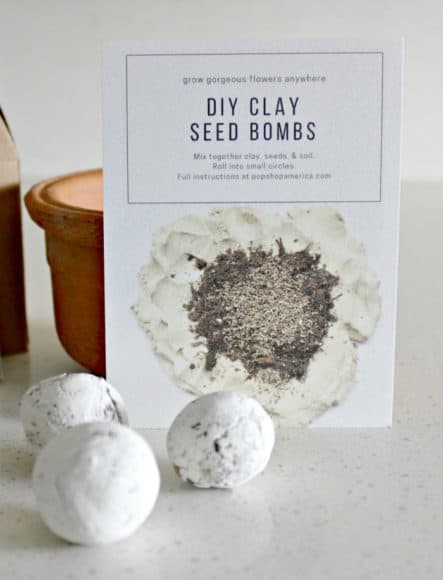 How to Use Seed Balls and DIY Clay Seed Bombs