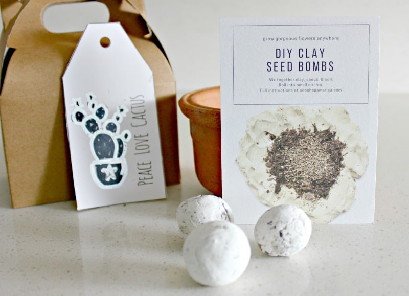 How to Use Seed Balls and DIY Clay Seed Bombs