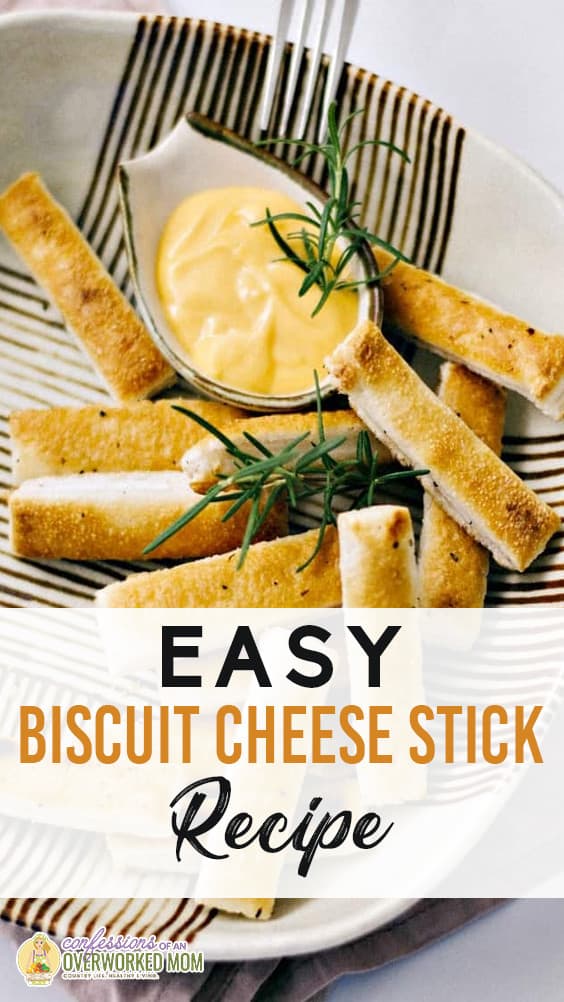 You are going to love this biscuit cheese stick recipe! It's one of our favorite recipes to serve with chicken and pork. I get so tired of always serving plain biscuits that I wanted something a little bit different.