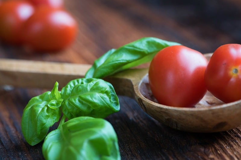 tomatoes and fresh basil with a wooden spoon