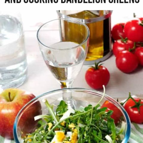 Dandelion Green Recipe and Cooking Dandelion Greens Dandelion Green Recipe and Cooking Dandelion Greens