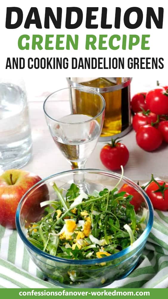 Dandelion Green Recipe and Cooking Dandelion Greens